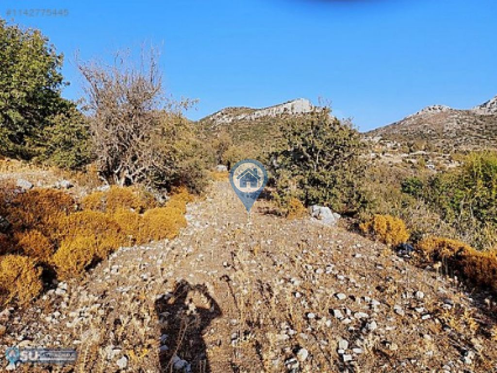 MARMARİS SÖĞÜTTE YATIRIMLIK TARLA