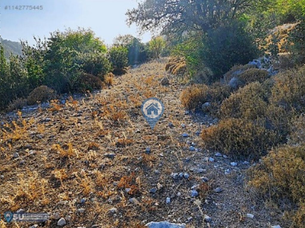 MARMARİS SÖĞÜTTE YATIRIMLIK TARLA