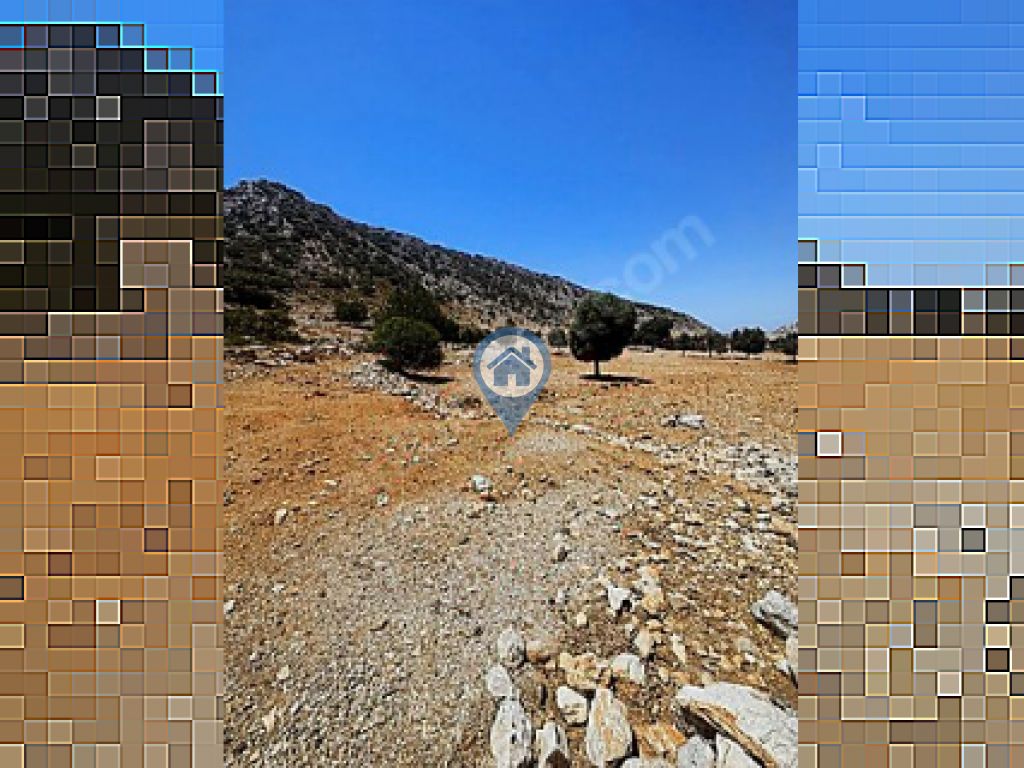 TAŞLICA SERÇE YOLUNDA YOLA SIFIR TARLA