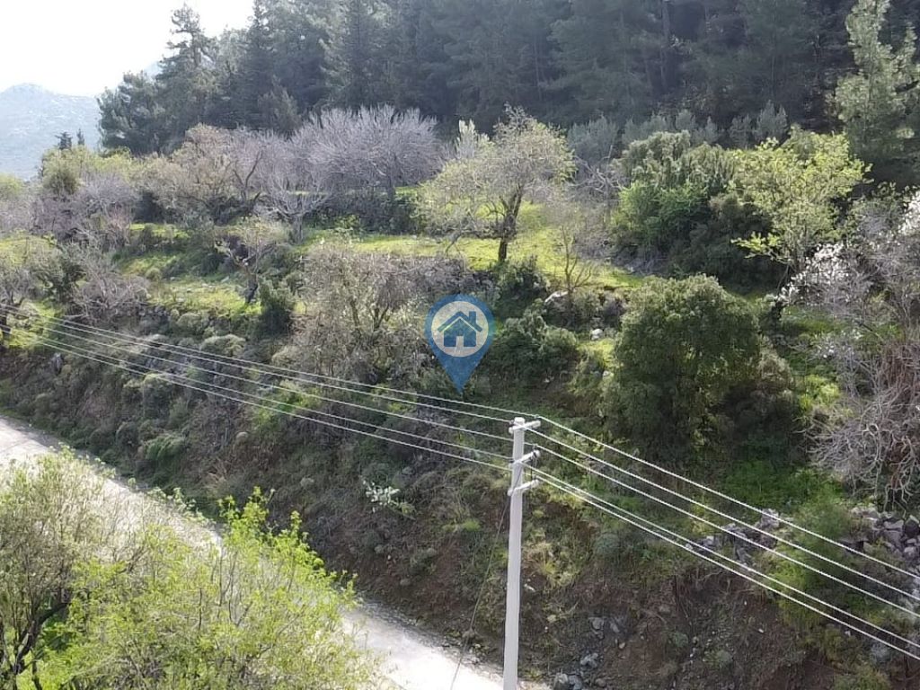 SÖĞÜT BAHÇELI GIRIŞINDE %5 İMARLI SATILIK 1.613 M2 ARAZI