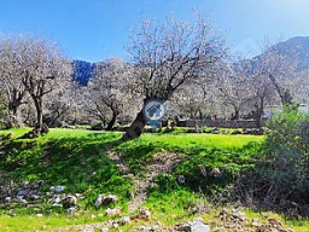 SÖĞÜT BAHÇELI YOLA CEPHELI KÖŞE KONUM SATILIK TARLA
