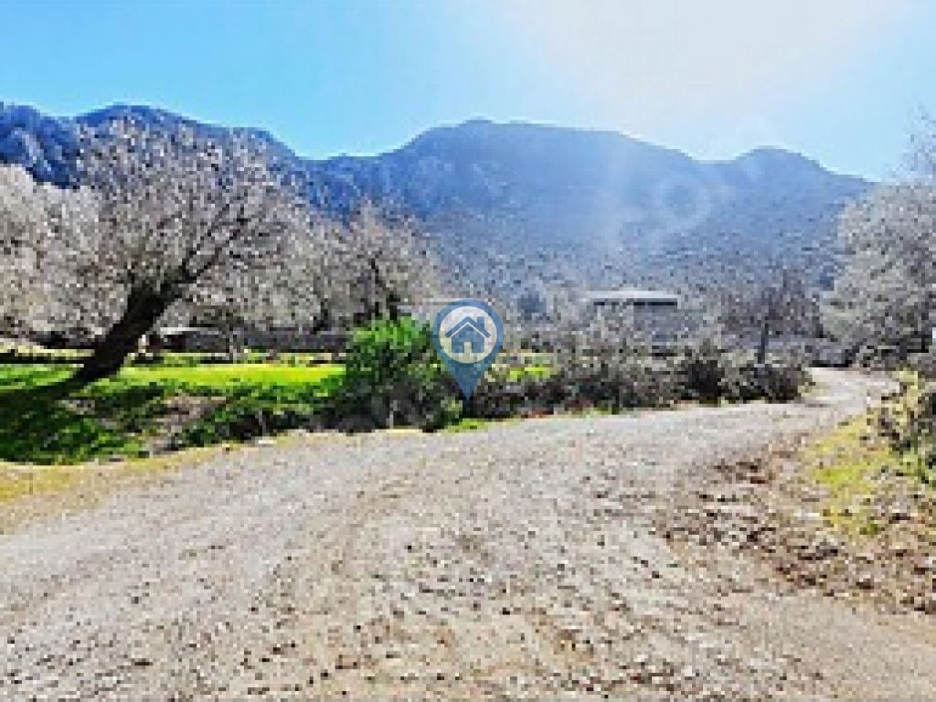 SÖĞÜT BAHÇELI YOLA CEPHELI KÖŞE KONUM SATILIK TARLA