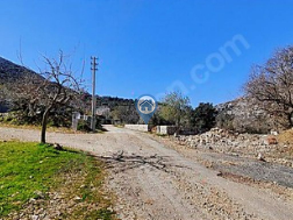 SÖĞÜT BAHÇELI YOLA CEPHELI KÖŞE KONUM SATILIK TARLA