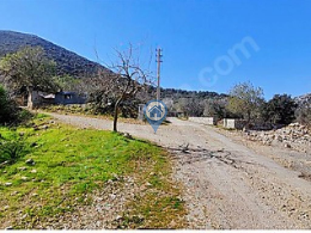 SÖĞÜT BAHÇELI YOLA CEPHELI KÖŞE KONUM SATILIK TARLA
