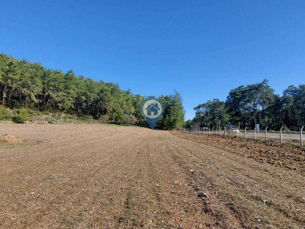 MARMARIS MUĞLA KARAYOLUNA 144 METRE CEPHELI 13.705 M2 ARAZI