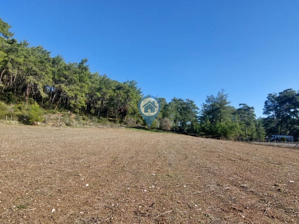 MARMARIS MUĞLA KARAYOLUNA 144 METRE CEPHELI 13.705 M2 ARAZI