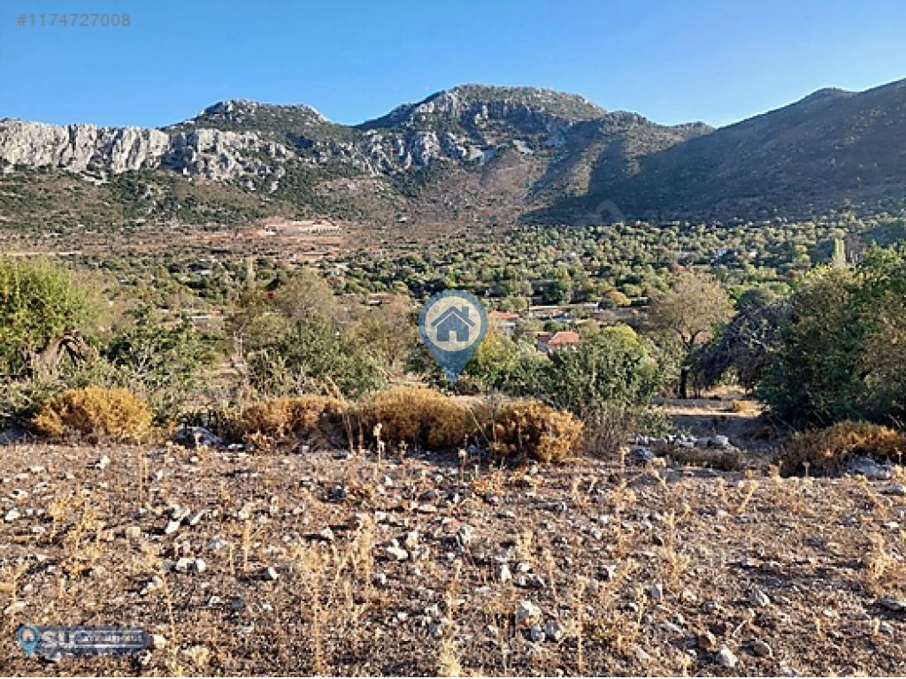 SÖĞÜTTE YATIRIMLIK TARLA