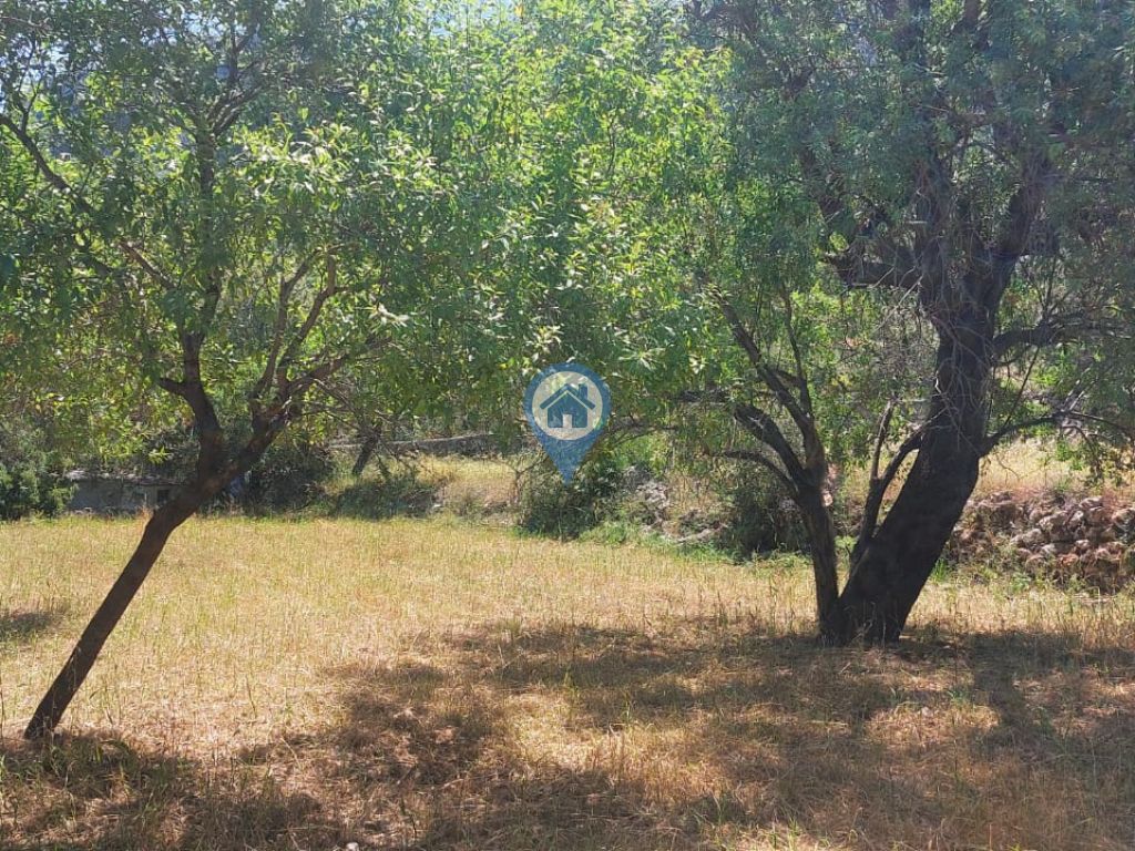 SÖĞÜT BAHÇELI MEVKIINDE 273 M2 KÖŞE KONUM YOL CEPHELI TARLA
