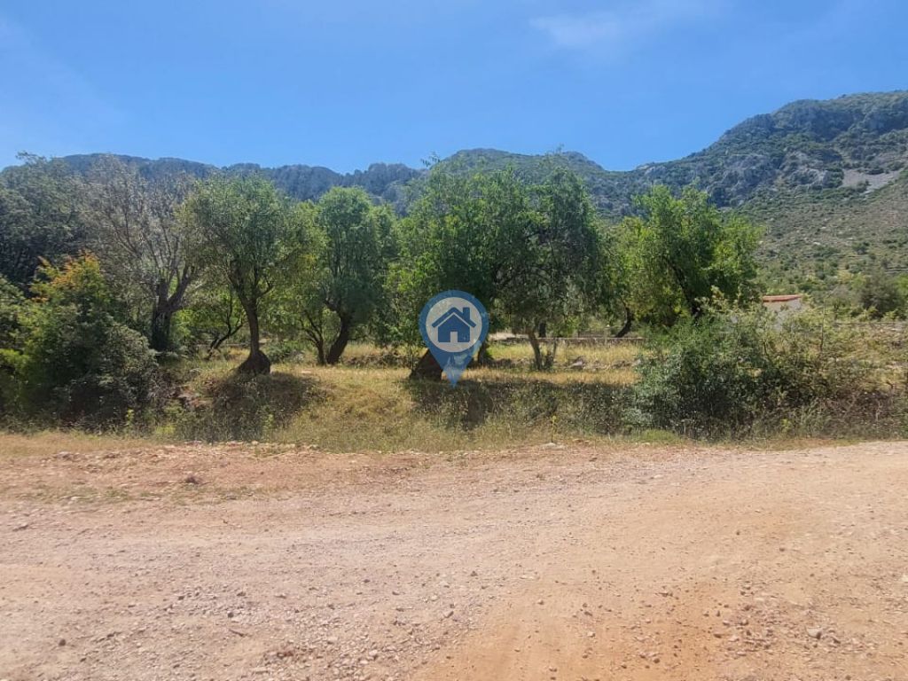 SÖĞÜT BAHÇELI MEVKIINDE 273 M2 KÖŞE KONUM YOL CEPHELI TARLA