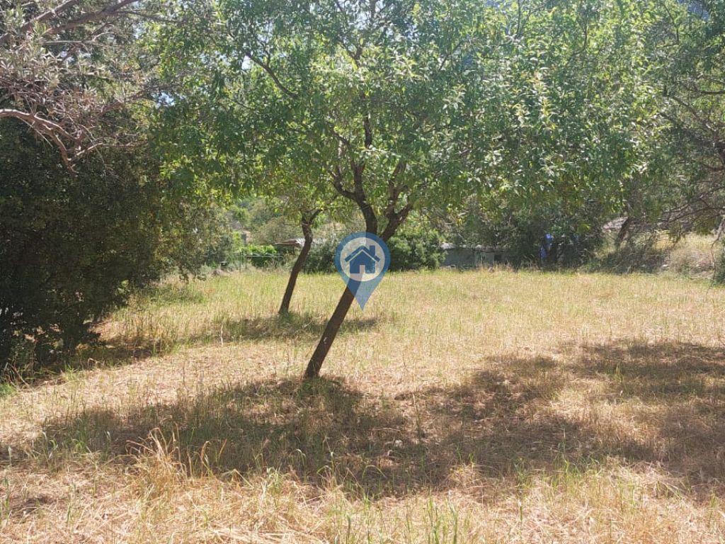 SÖĞÜT BAHÇELI MEVKIINDE 273 M2 KÖŞE KONUM YOL CEPHELI TARLA