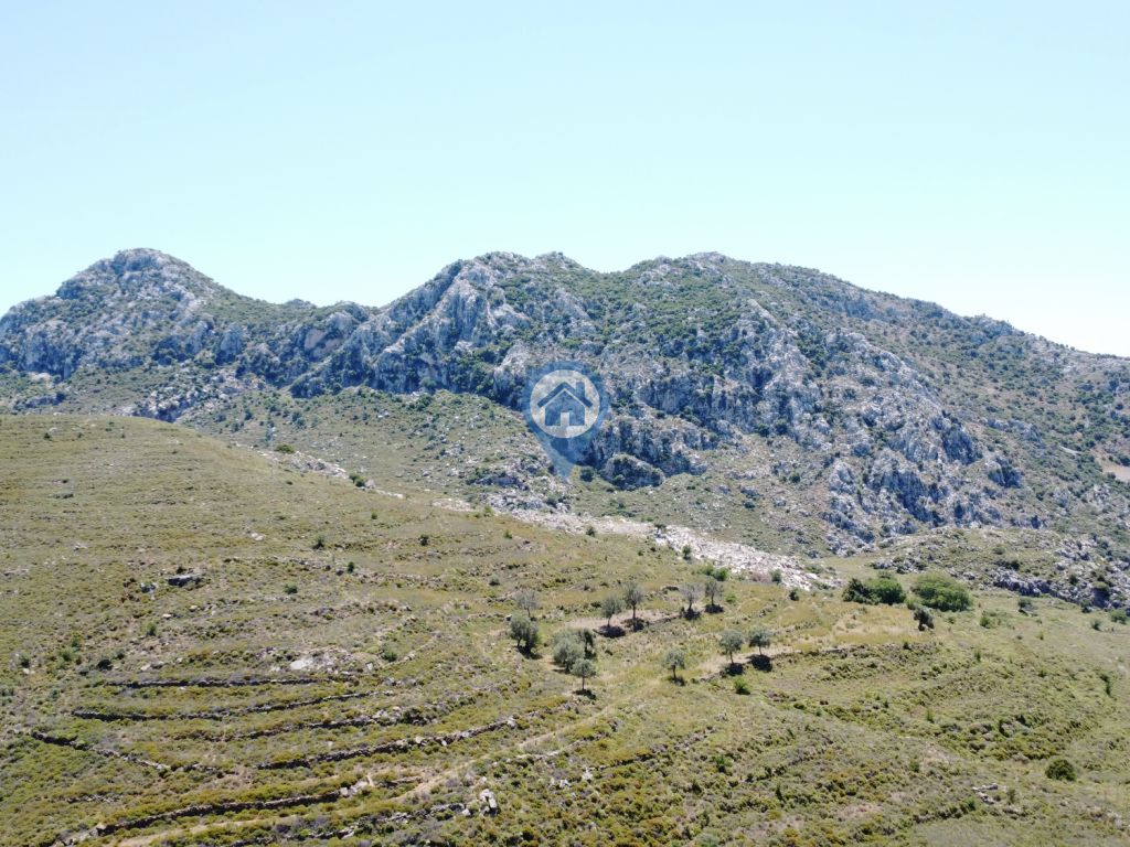 BOZBURUN KÖYÜNDE7.388M2 SATILIK ARAZİ