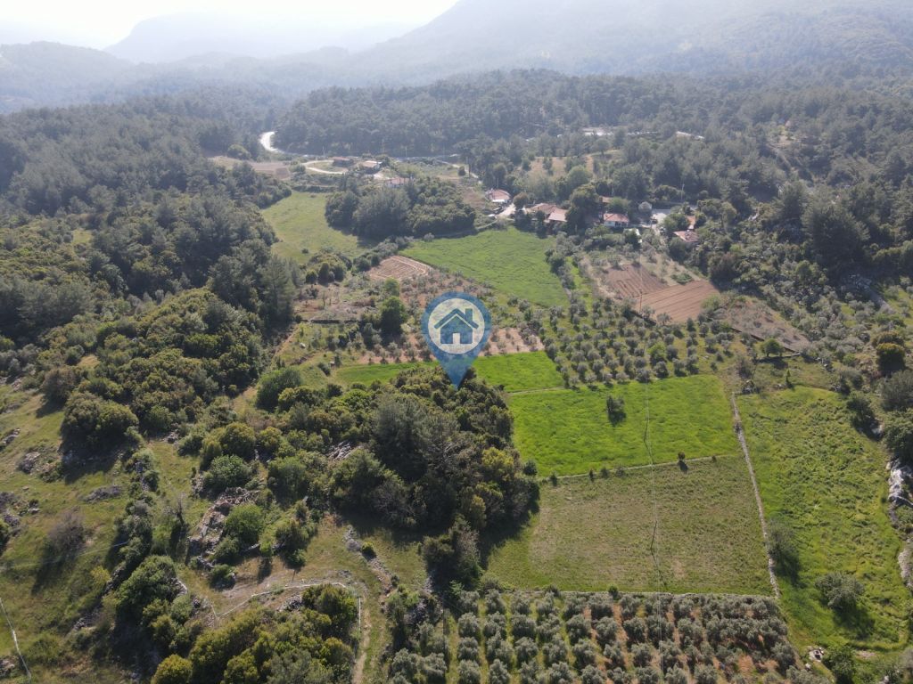 MUĞLA ULA ARMUTÇUK MAHALLESINDE 34.625 M2 SATILIK ARAZI