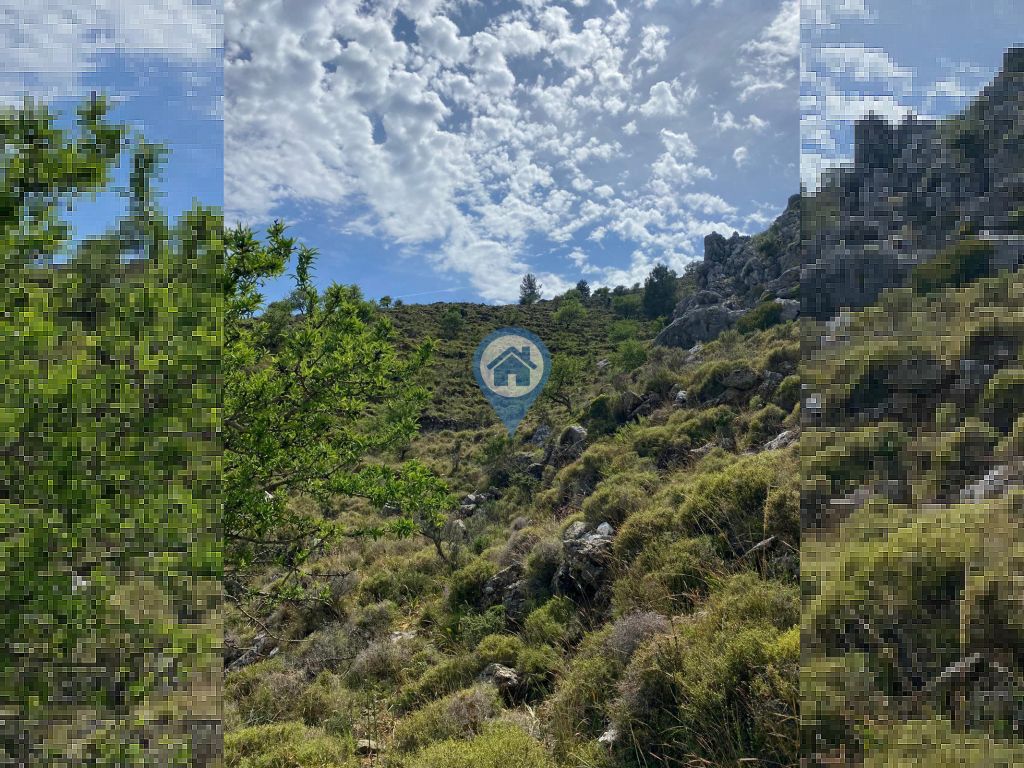 SELIMIYEDE YATIRIMLIK DENIZ MANZARALI SATILIK 438 M2 TARLA