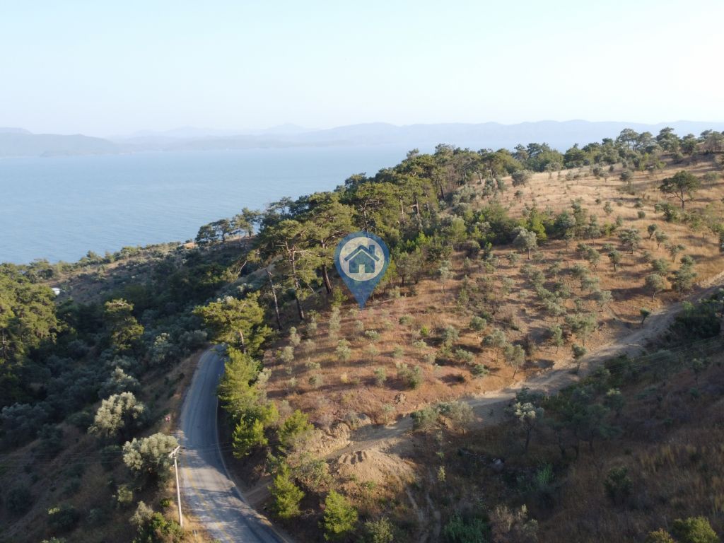 SU GAYRIMENKUL MENTEŞE KIRAN FULL DENIZ MANZARALI SATILIK TARLA