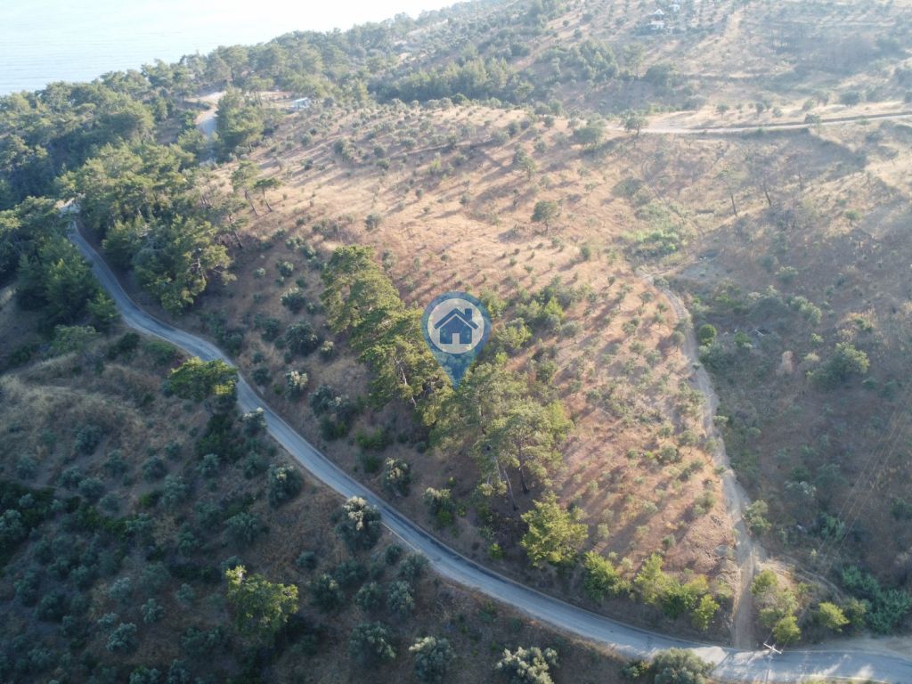 SU GAYRIMENKUL MENTEŞE KIRAN FULL DENIZ MANZARALI SATILIK TARLA