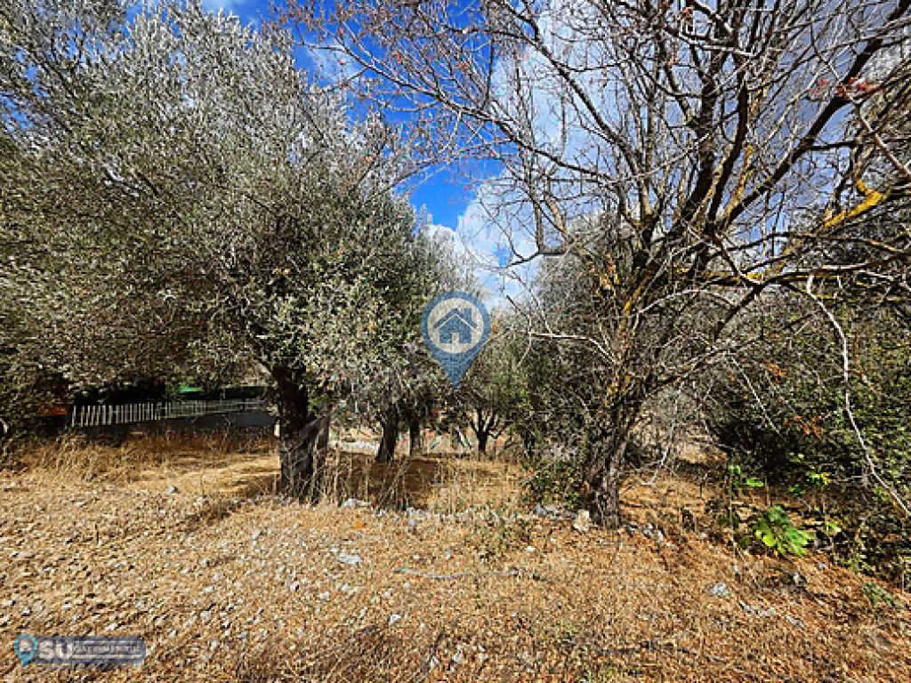 SÖĞÜT BAHÇELI MEVKIINDE 389 M2 SATILIK TARLA