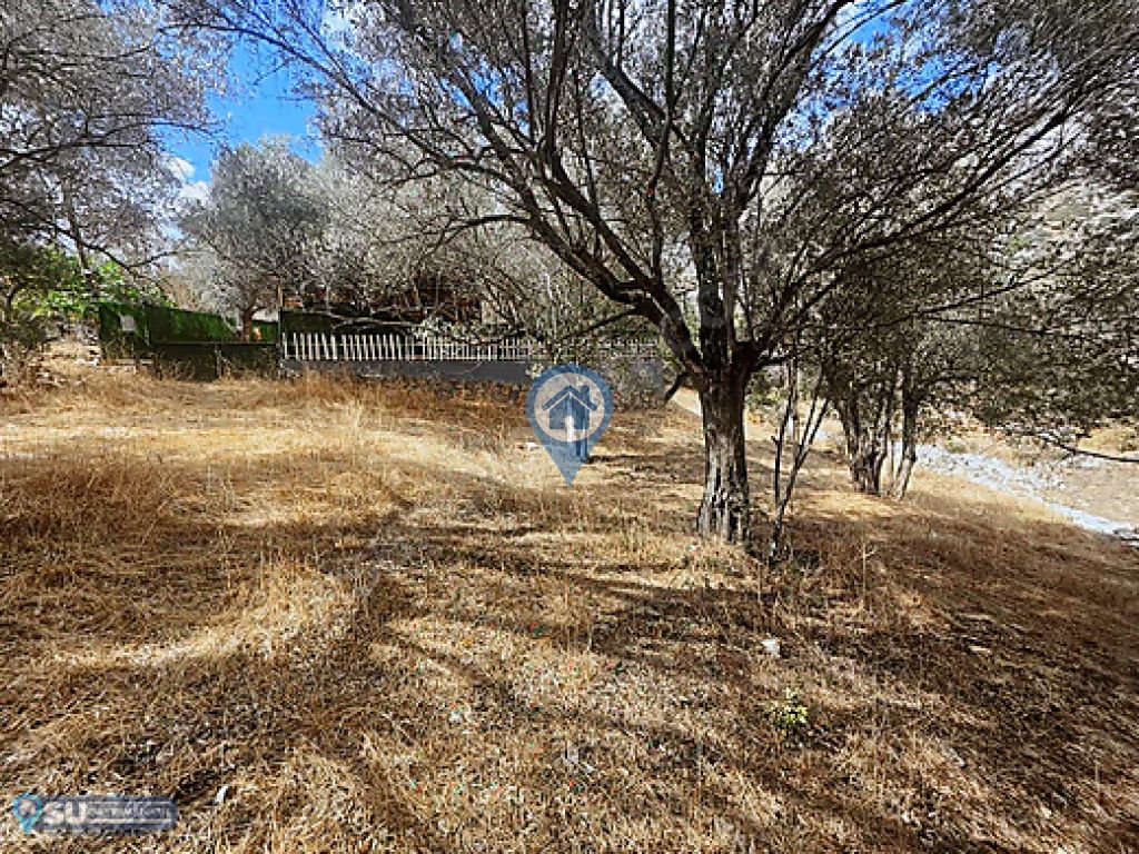 SÖĞÜT BAHÇELI MEVKIINDE 389 M2 SATILIK TARLA