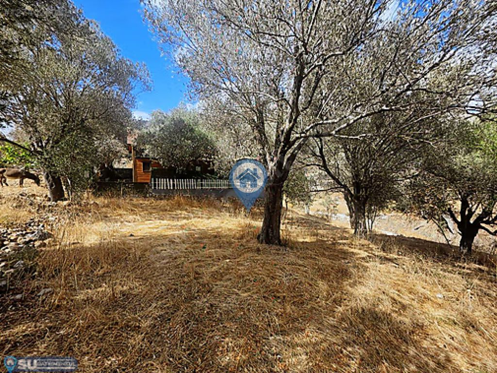 SÖĞÜT BAHÇELI MEVKIINDE 389 M2 SATILIK TARLA