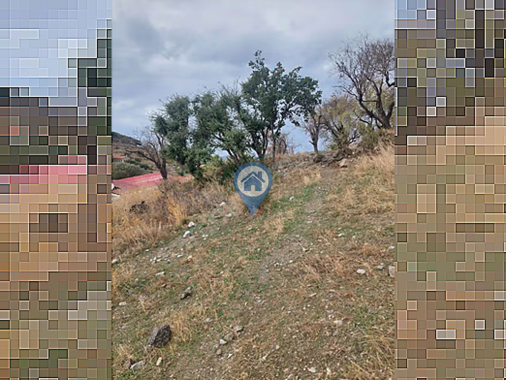 SÖĞÜT KÖYÜNDE SATILIK TARLA