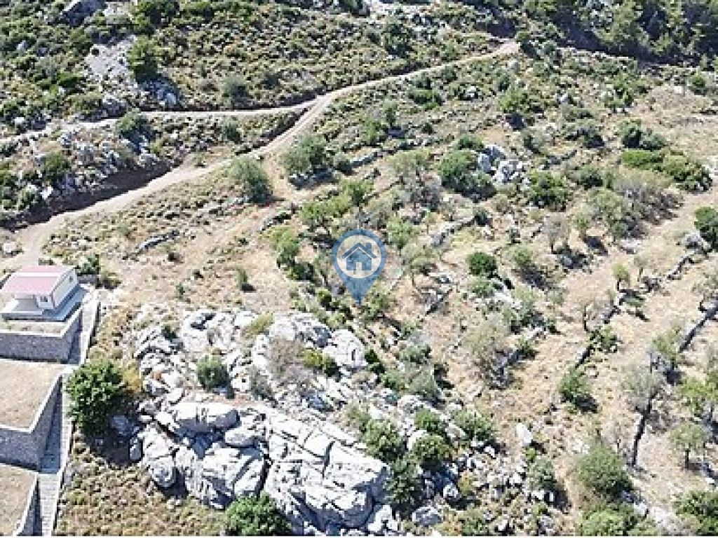 MARMARİS SÖĞÜT KÖYÜNDE YERLEŞİME YAKIN TARLA