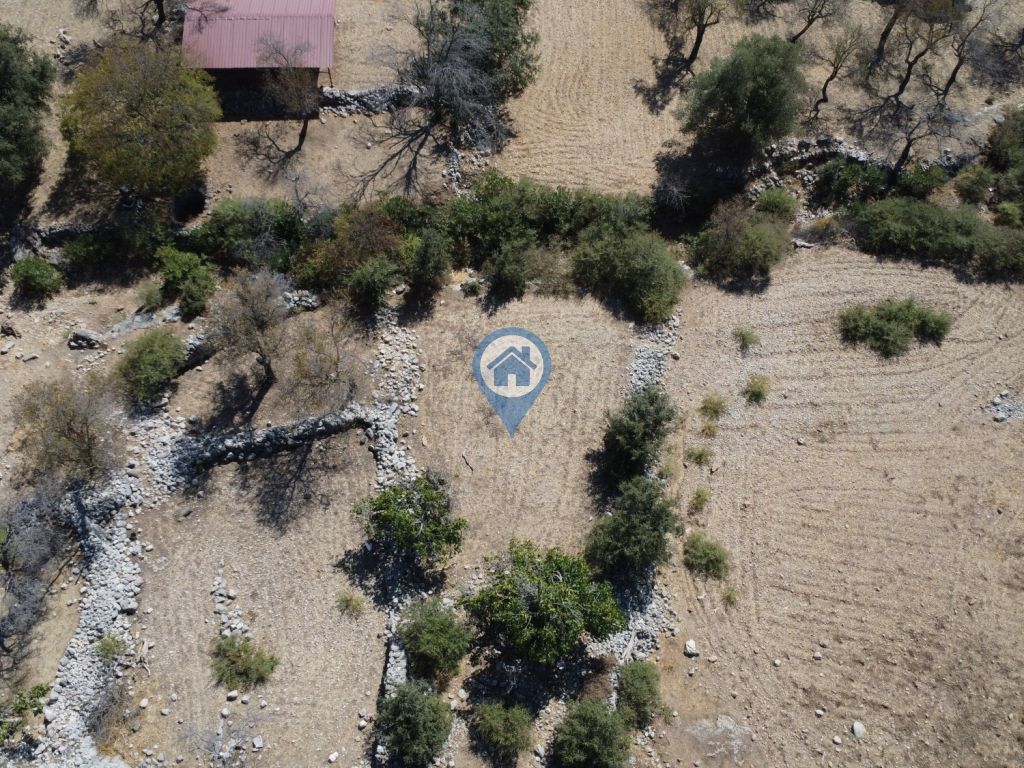 SÖĞÜTTE TOPRAĞIM OLSUN DIYORSANIZ SATILIK 375 M2 TARLA