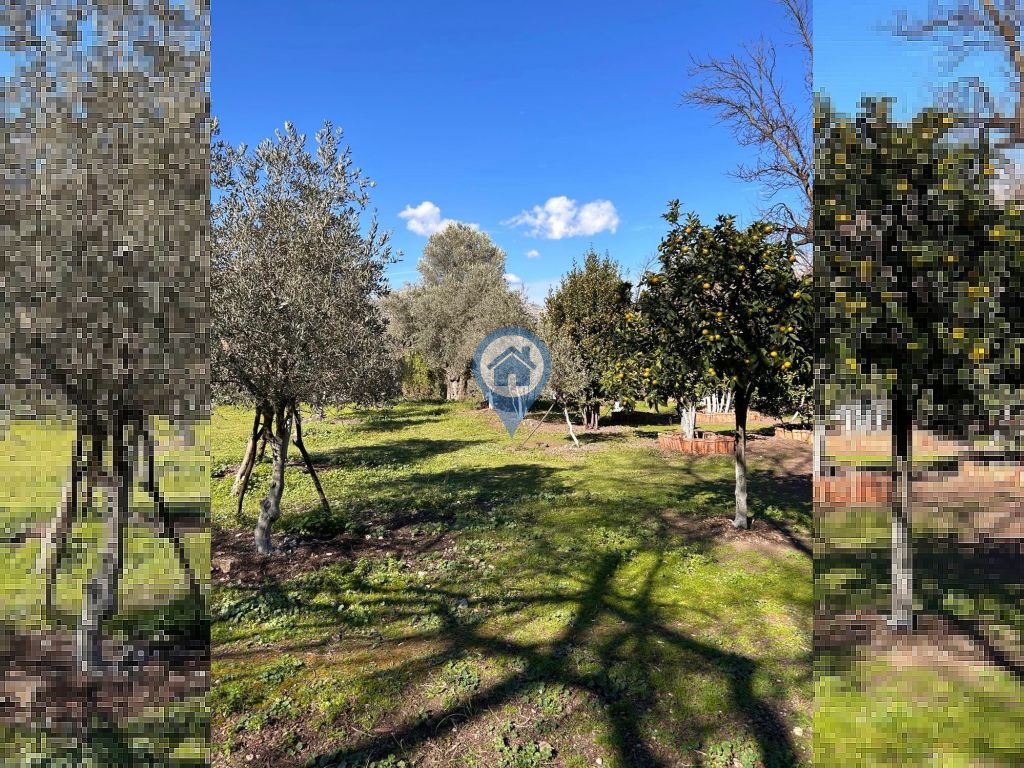 BAYIR KÖYÜNDE FIRSAT! GENİŞ BAHÇELİ MÜSTAKİL 2 KATLI 3+1 2+1 EV