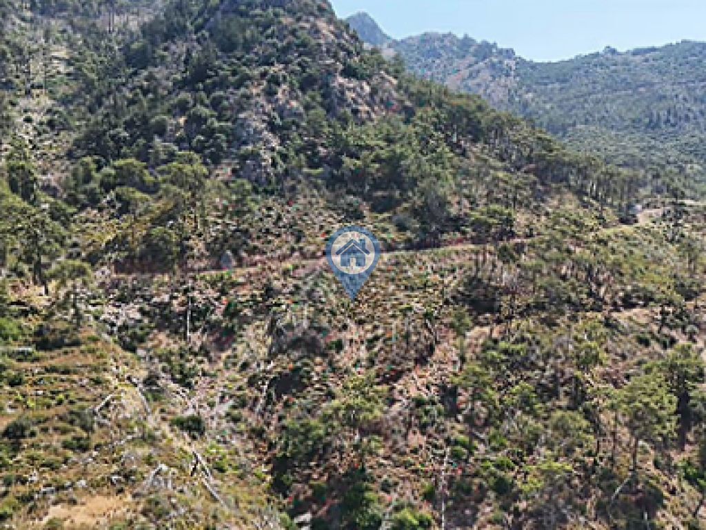 ORHANİYEDE EŞSİZ DOĞA MANZARASIYLA 3.640 M² YATIRIMLIK TARLA
