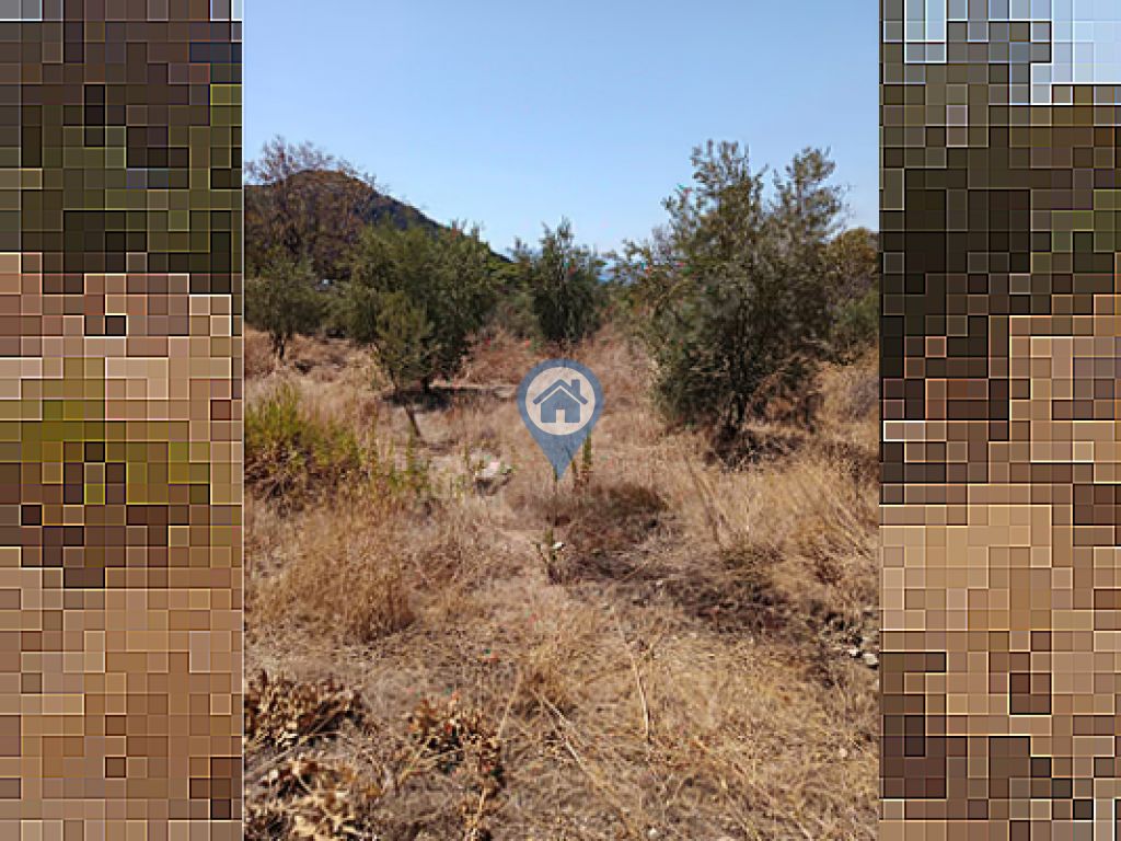 MARMARİS SÖĞÜTTE DENİZE 2 KM MESAFEDE 266 M² MÜSTAKİL TARLA