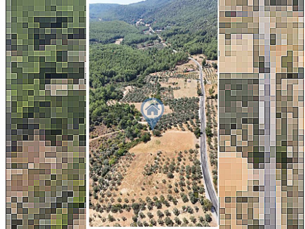 ULA ARMUTÇUKTA ANAYOLA SIFIR 10.000 M² KUYULU YATIRIMLIK TARLA