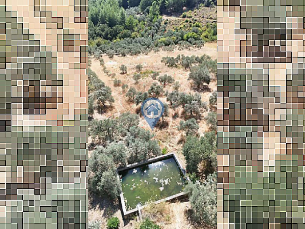 ULA ARMUTÇUKTA ANAYOLA SIFIR 10.000 M² KUYULU YATIRIMLIK TARLA