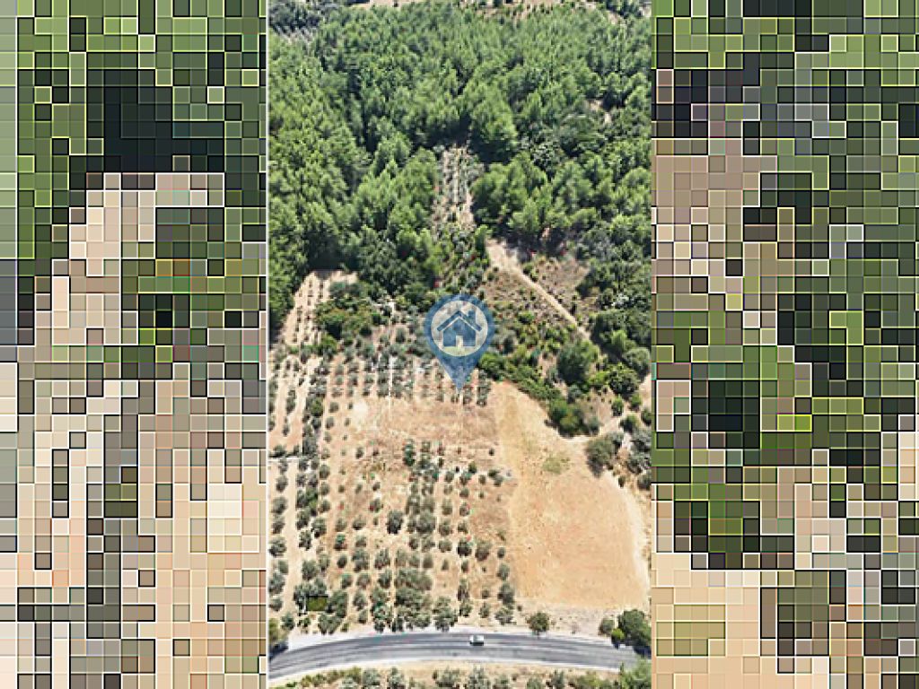ULA ARMUTÇUKTA ANAYOLA SIFIR 10.000 M² KUYULU YATIRIMLIK TARLA