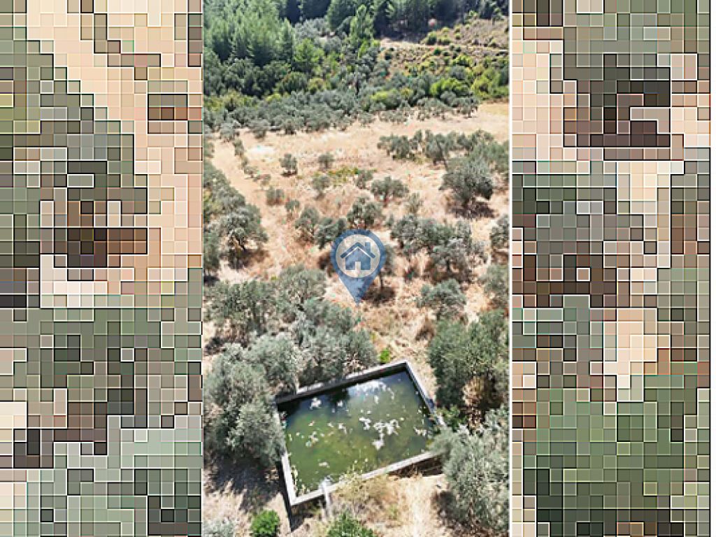 ULA ARMUTÇUKTA ANAYOLA SIFIR 10.000 M² KUYULU YATIRIMLIK TARLA