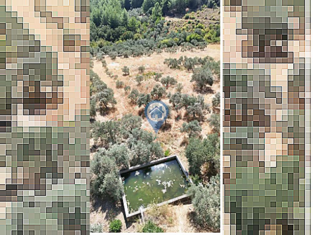 ULA ARMUTÇUKTA ANAYOLA SIFIR 10.000 M² KUYULU YATIRIMLIK TARLA