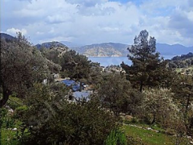 İlan Resmi