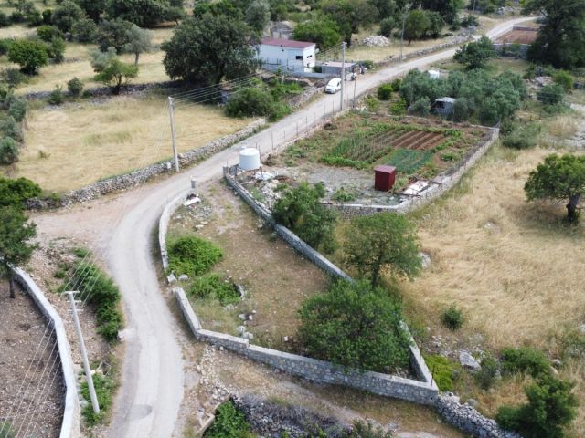 İlan Resmi