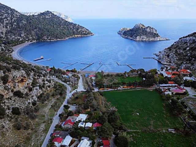 İlan Resmi