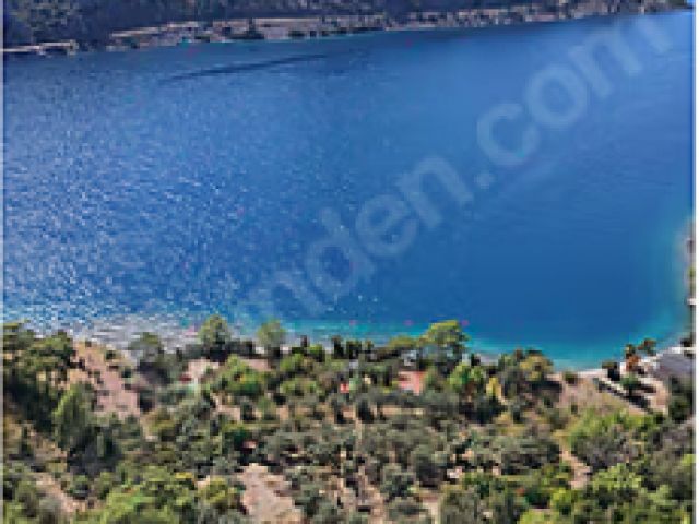 İlan Resmi